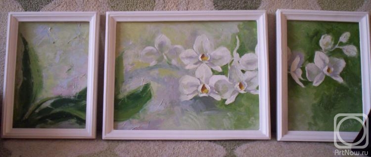 �������. ������� �����. ������� "����� �������"