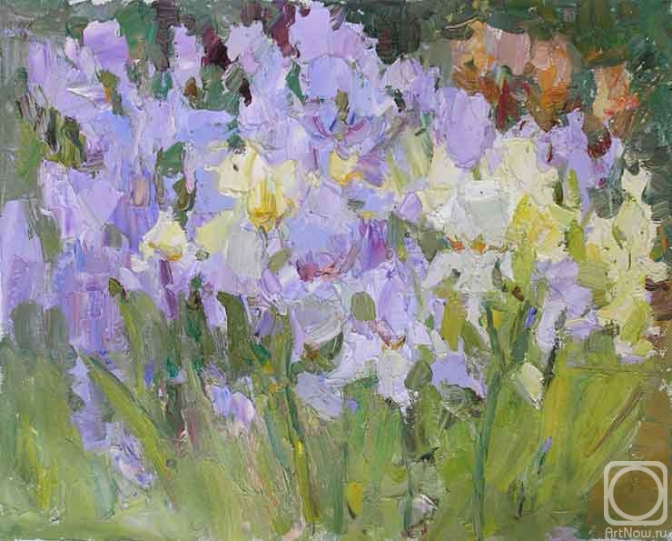 ������� ������ �� ������. �������� �����. �����