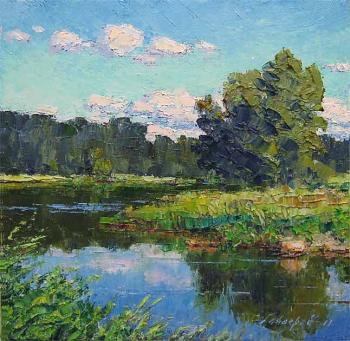June. Kolomenka River. Gaiderov Michail