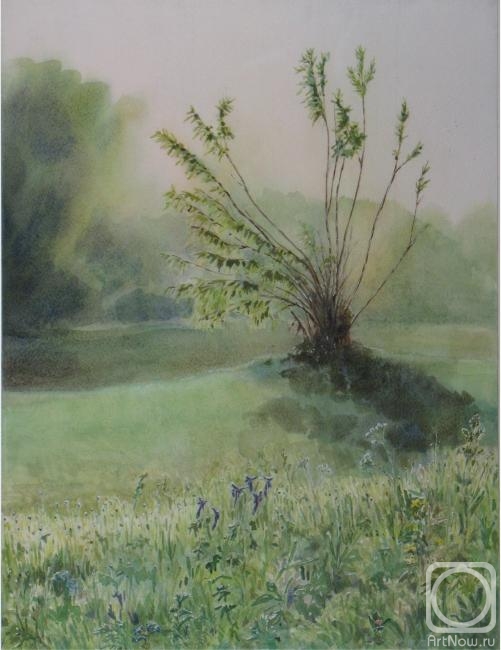 �������. ������� �����. ����