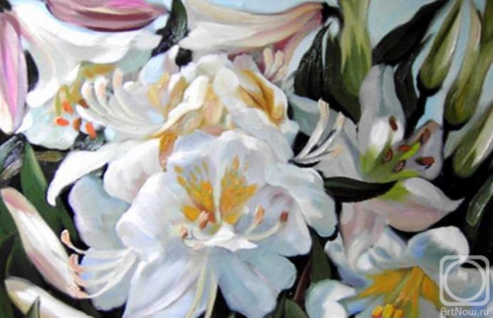 ������� ������ �� ������. ������ �������. ����� �����