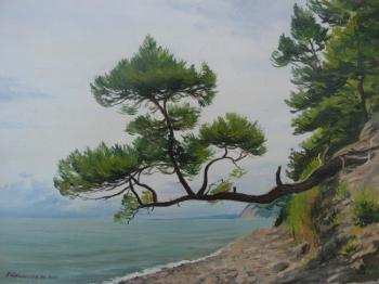 Pine by the sea 2. Chernyshev Andrei