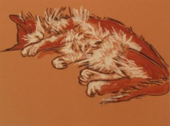 ������� �471 (������ ����)�