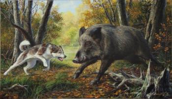 Boar and Laika