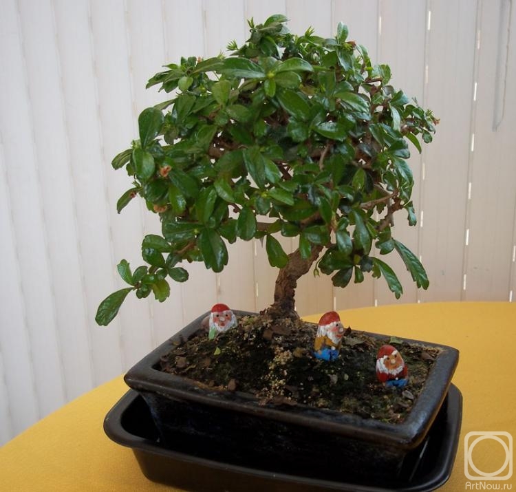 ������� ���������. �����