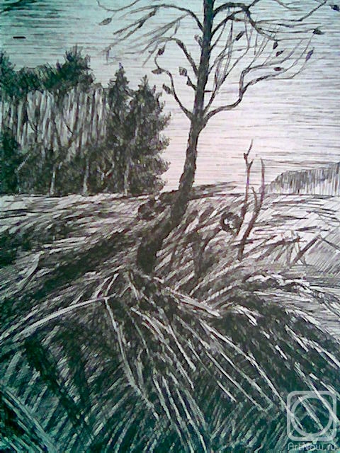 �������. ������ ����. ���� � ����