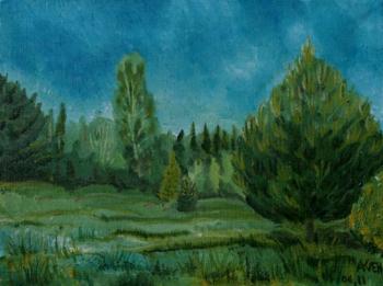 ������� ��������� ��� (����)�