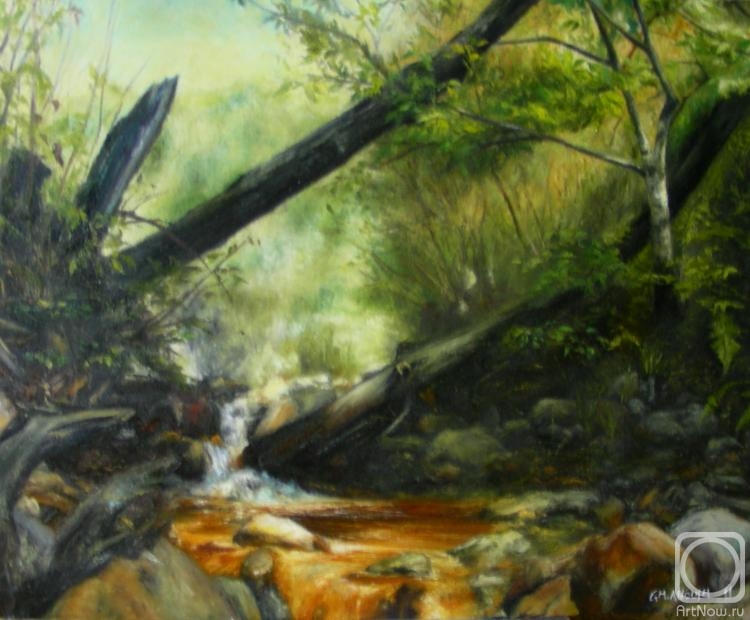 ������� ������ �� ������. ��������� ����. �������� ��������