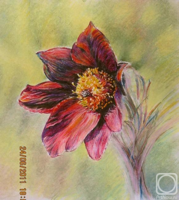 �������. ��� �����. ��������� ����