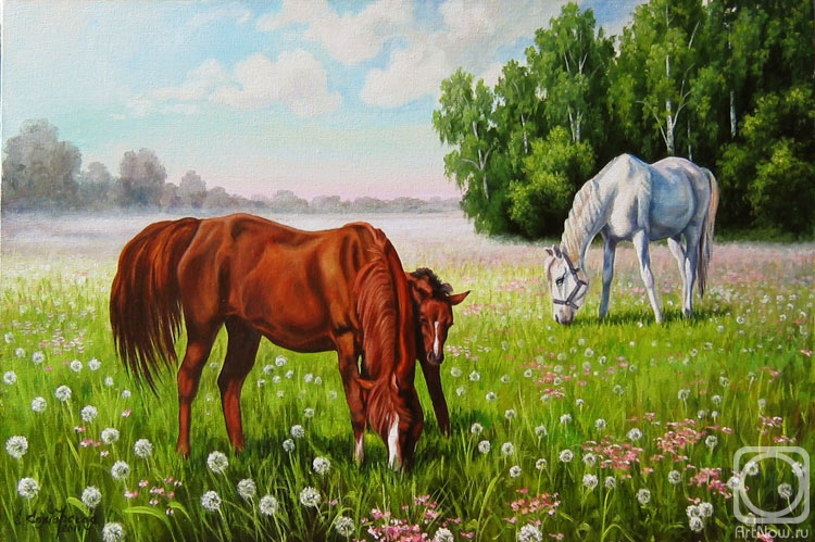 ������� ������ �� ������. ��������� �����. � ����� �� �������