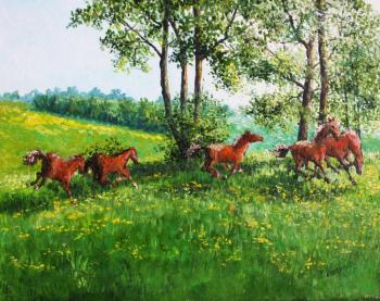 Games red foals (). Konturiev Vaycheslav