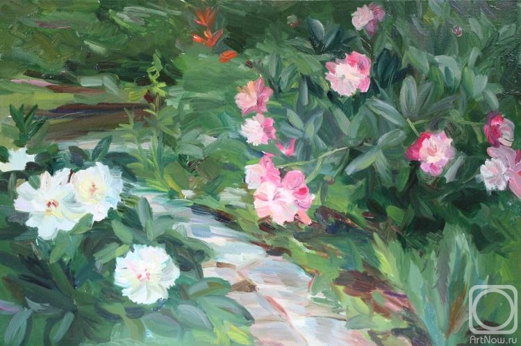 Shenec Anna. Peonies in a garden
