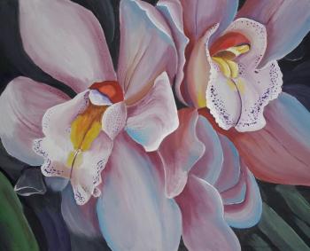 ������� ���������