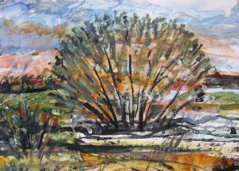 ������� ���������