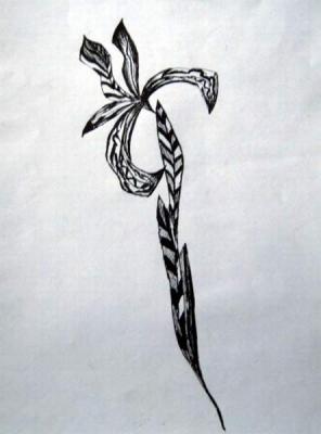 ������� ������ �������