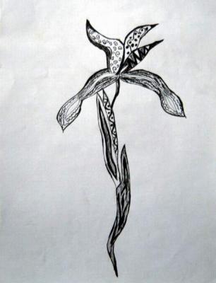 ������� ������ �������