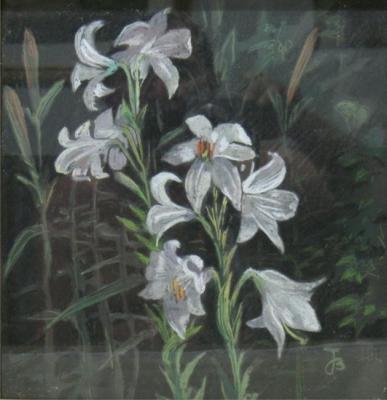 White lilies. Tumanov Vadim