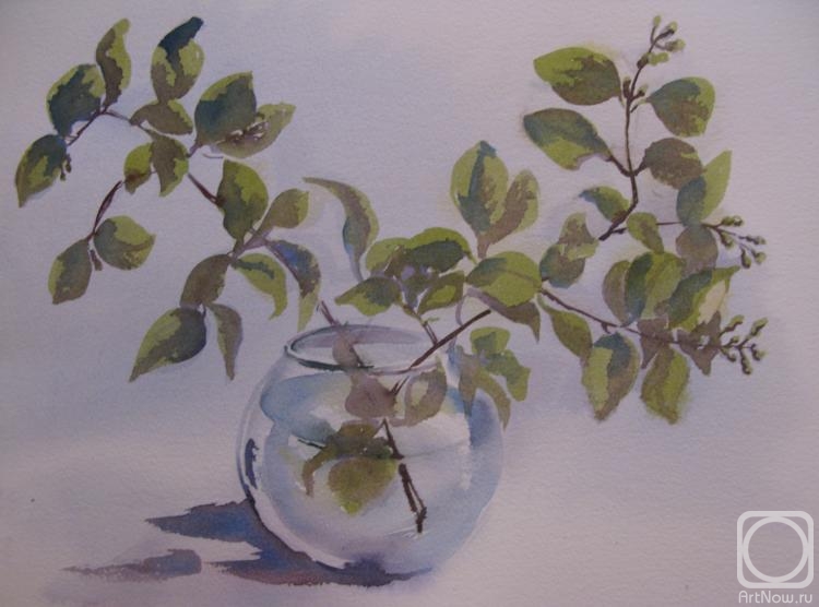 �������. �������� ����. ������� ��� ��������