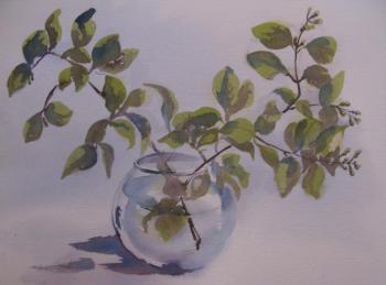 ������� ���� ���������