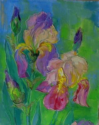 Pink irises. Series: "My Fair Lady"
