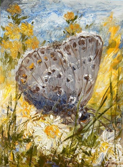Ushakova Maria. butterfly