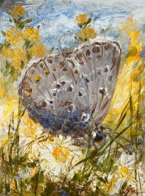 butterfly. Ushakova Maria