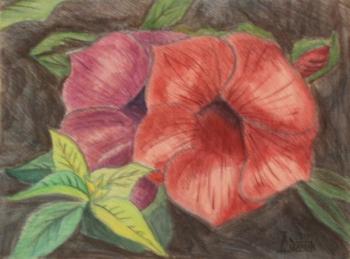 ������� ����������