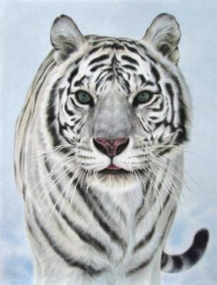 Snow Tiger. Deynega Tatyana