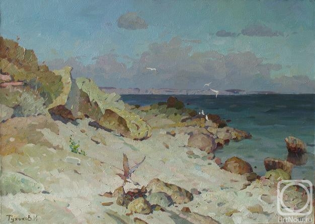 Tuzhikov Igor. Wild beach