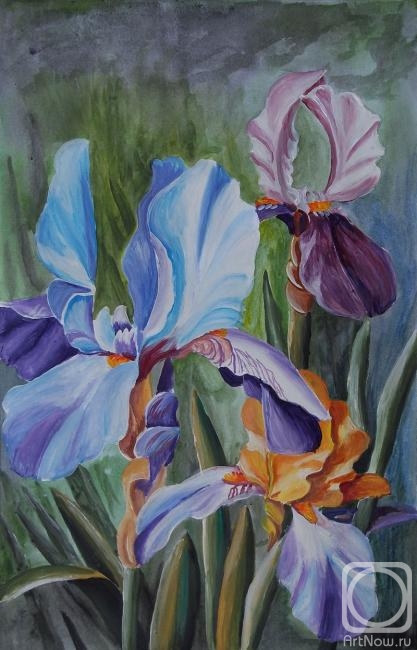 �������. ������� ���������. �����