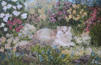 ������� ���� � ��������