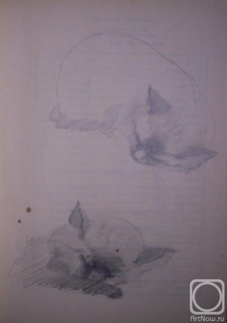 �������. ������� �����. ��������� ����