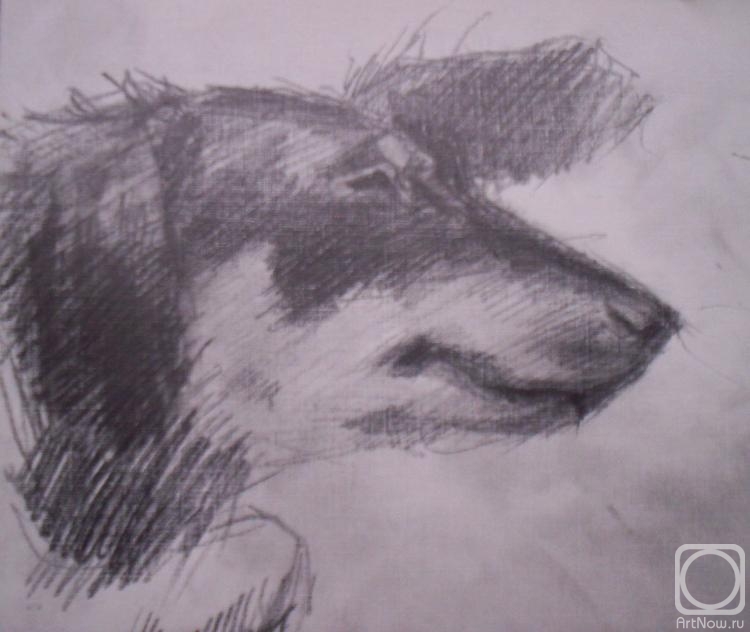 �������. ������� �����. ������ ����. ���������