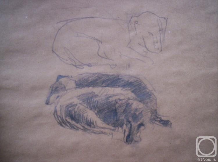 �������. ������� �����. ������