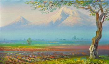 Ararat in Spring with blossoming apricot