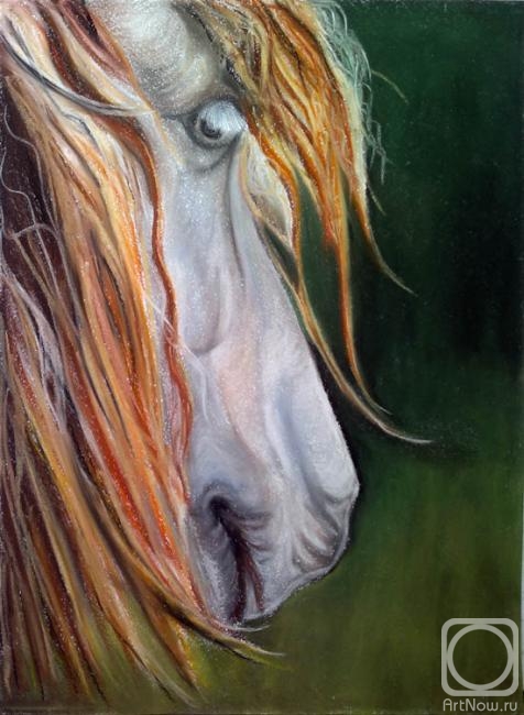 Khubedzheva Nataliya. Portrait of a thoughtful horse