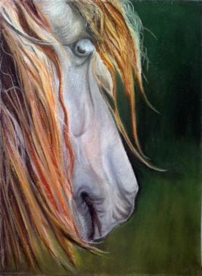 Portrait of a thoughtful horse. Khubedzheva Nataliya