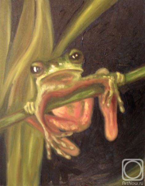 Lukaneva Larissa. 480 (Tropical frog)