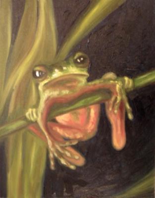 480 (Tropical frog). Lukaneva Larissa