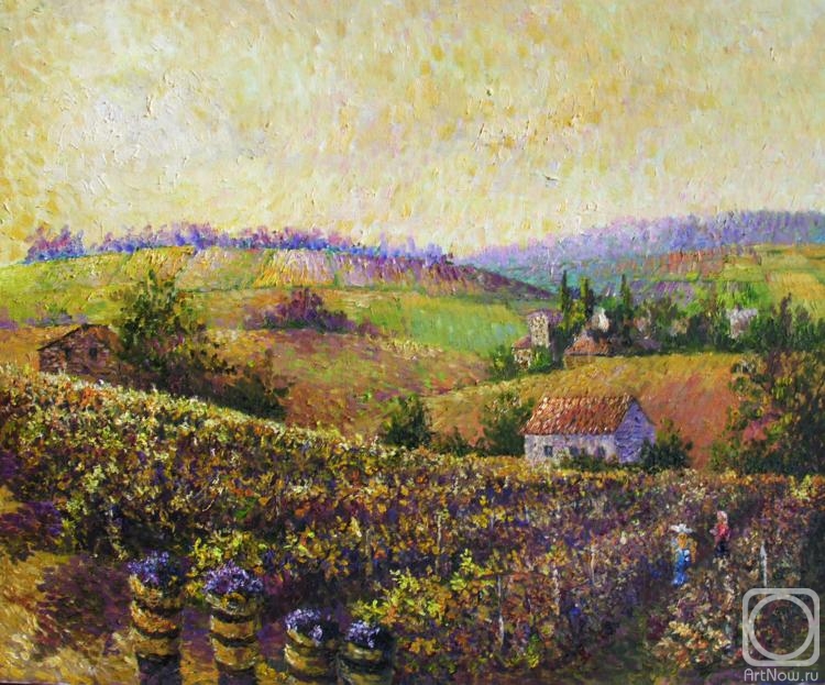 Konturiev Vaycheslav. The vineyards of Beaujolais