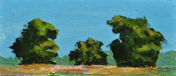 ������� ���� �����