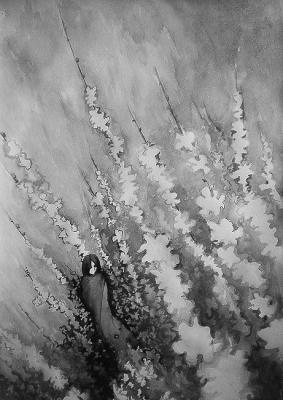 ������� ������� ������