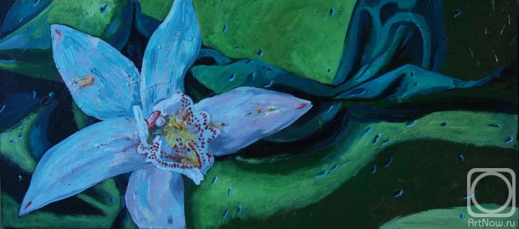 ������� ������ �� ������. �������� ������. ������� ��� ��������