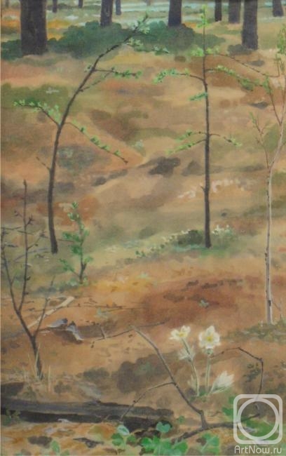 �������. ������� �����. �����������