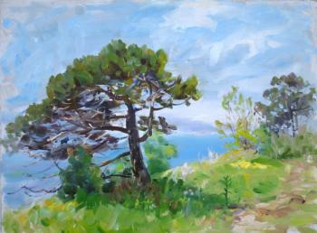 ����� � ���� (����). ������� ����