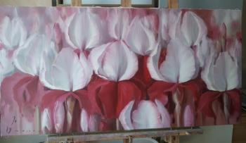 White-red irises. Buiko Oleg