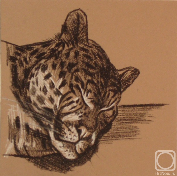 �������. �������� ������. 492 (������ ��������)