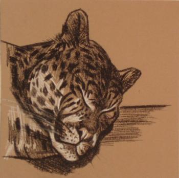 492 (Leopard Head). Lukaneva Larissa