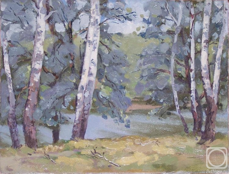 Arepyev Vladimir. White birches