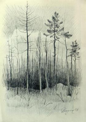 ������ ���������. ������� �������. ������� ������